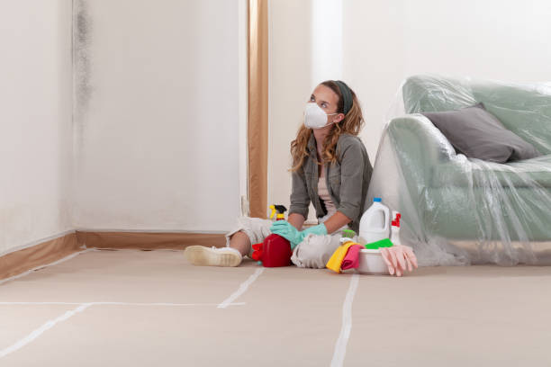 Reliable Mold Removal contractor in Grand Haven, MI by Car Mold Remediation